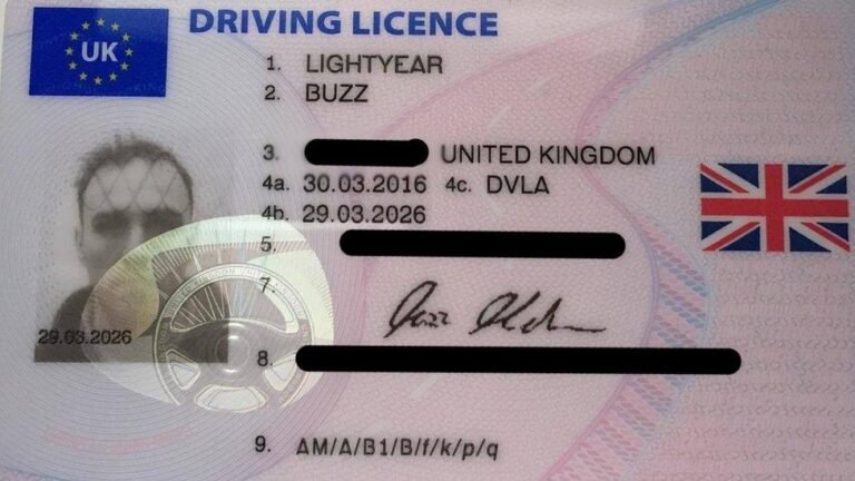 Full UK Driving Licence